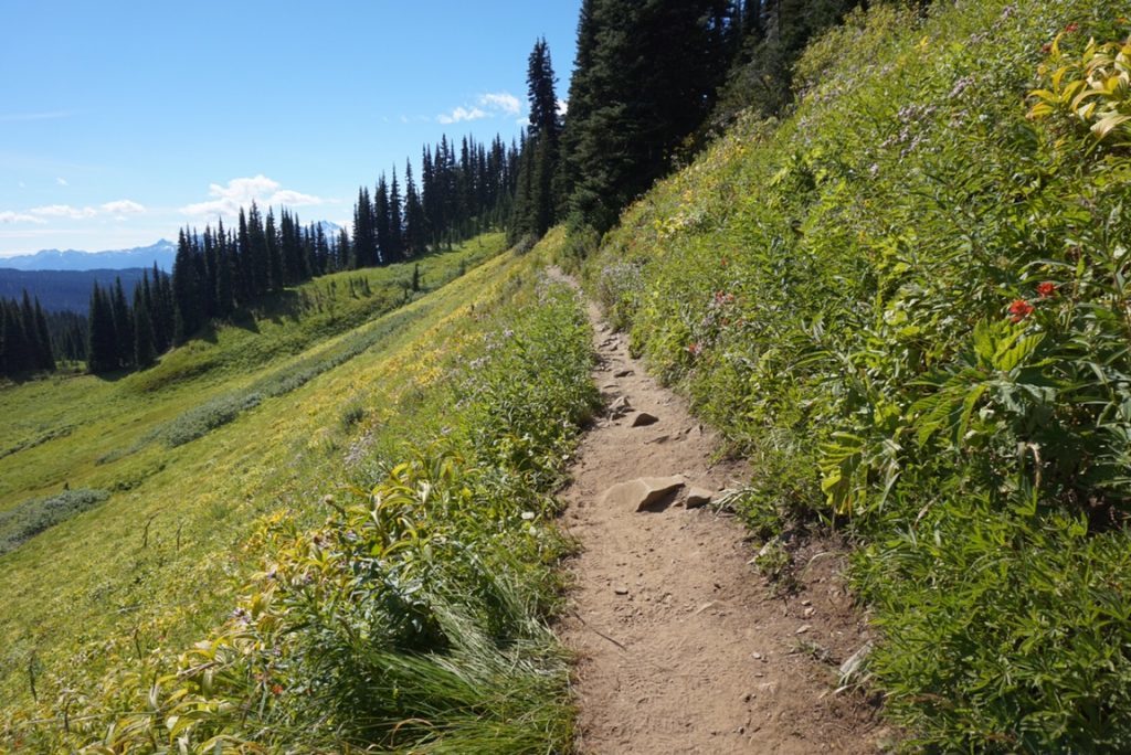 taylor meadows, panorama ridge, hike