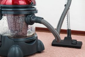 vacuum, clean, carpet